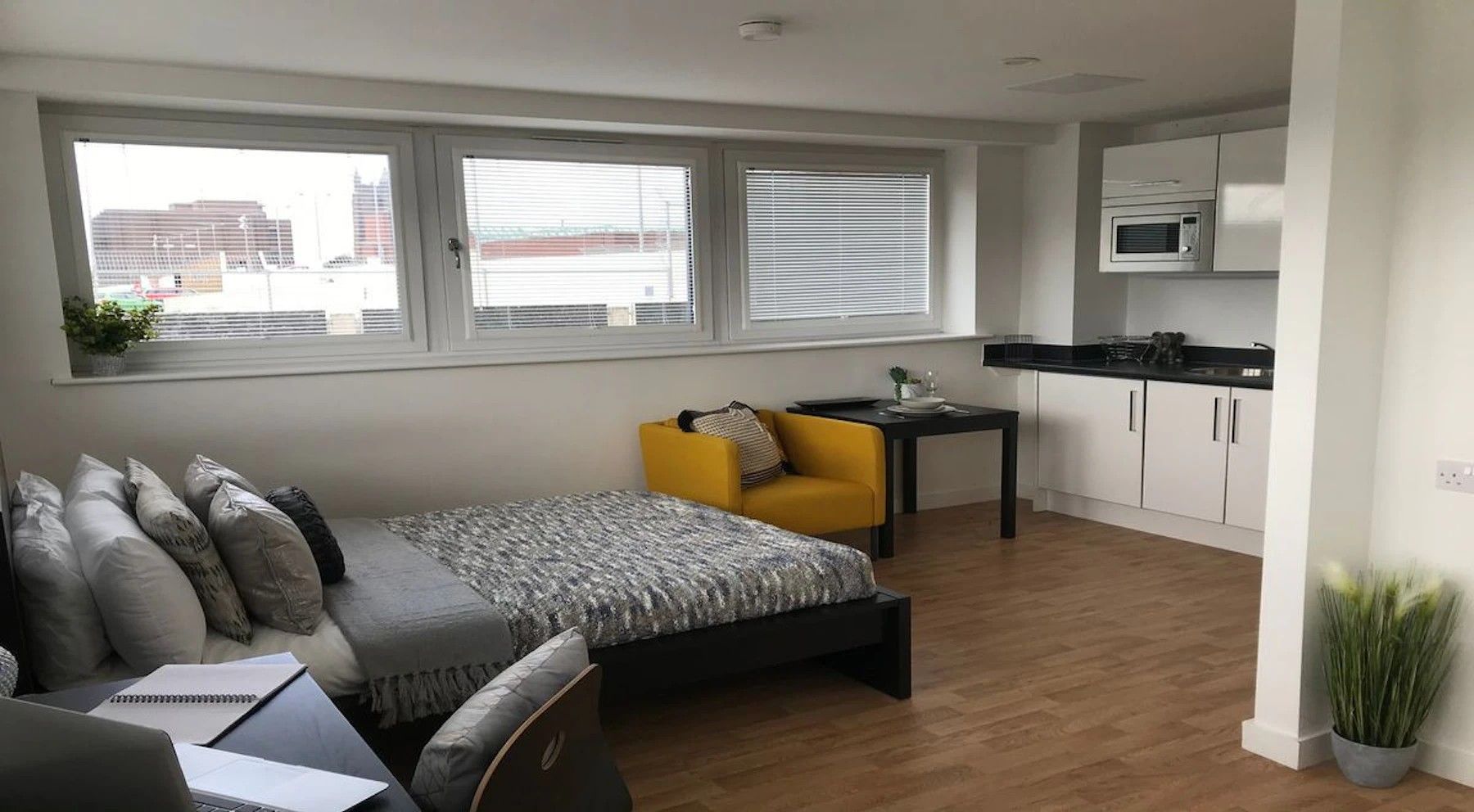 Lower Floor Premier Studio